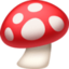 Mushroom on Facebook