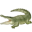 Crocodile on Facebook