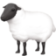 Sheep on Facebook