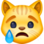 Crying Cat Face on Facebook
