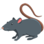 Rat on Messenger