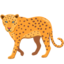 Leopard on Messenger