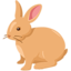 Rabbit on Messenger