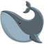 Whale on Messenger
