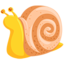 Snail on Messenger