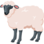 Sheep on Messenger