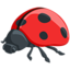 Lady Beetle on Messenger