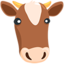 Cow Face on Messenger