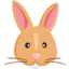 Rabbit Face on Messenger