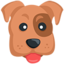 Dog Face on Messenger