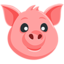 Pig Face on Messenger