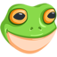 Frog Face on Messenger