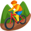 Mountain Bicyclist on Messenger